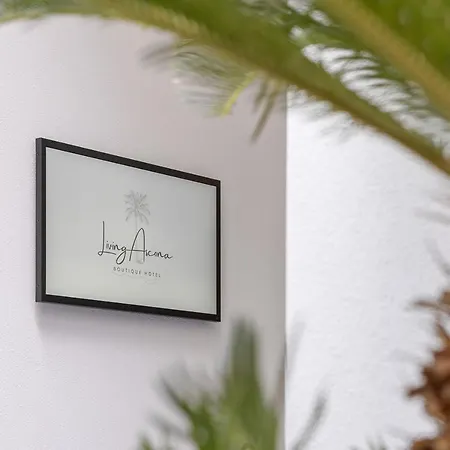 Alojamento de Acomodação e Pequeno-almoço Living Boutique Ascona